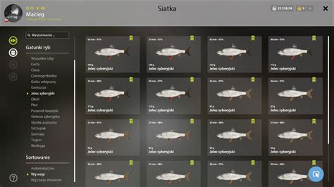 Miejscówki - Miejscówki - Russian Fishing 4