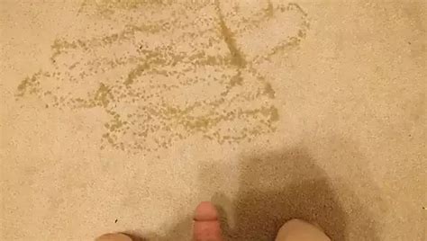 Pissing On My Bedroom Carpet Free Gay Pissed On Porn E XHamster