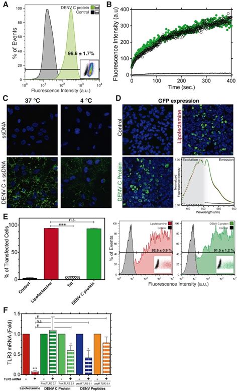 A Flow Cytometry Fluorescence Distribution Histograms Of Trypsinized