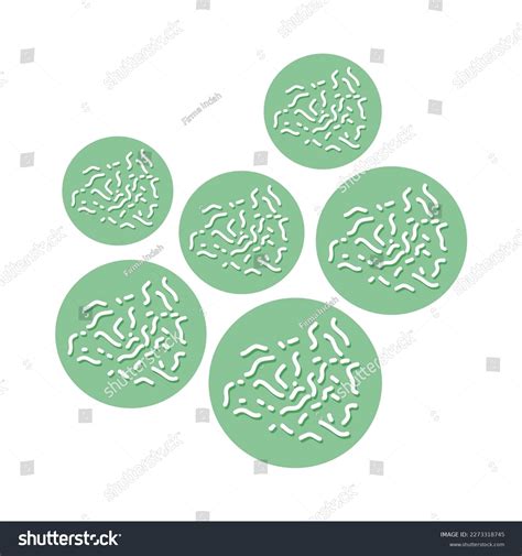 Indonesian Traditional Cake Dessert Kue Klepon Stock Vector (Royalty ...