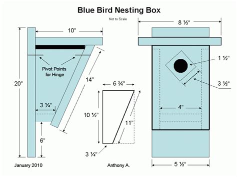 Plans For Bluebird Boxes At Charles Shultz Blog