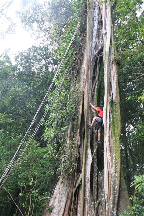 Costa Rica Adventure Activities & Things To Do