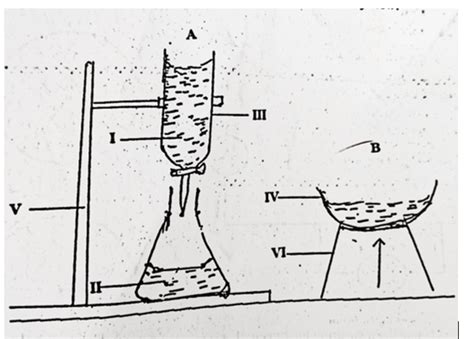 Bece 2021 Science Past Questions And Answers Train Your Brain