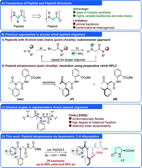 Atroposelective Synthesis Of N Aryl Peptoid Atropisomers Via A