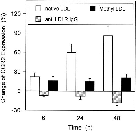 Chemokine Receptor Ccr2 Expression And Monocyte Chemoattractant Protein