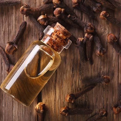 Steam Distillation Clove Leaf Essential Oil For Cosmetics L At Rs