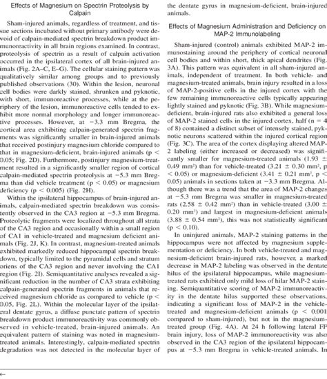 Quantification of histological damage in the cortex and hippocampus of ... 