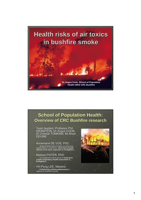 Pdf Health Risks Of Air Toxics In Bushfire Smokepotentially Toxic