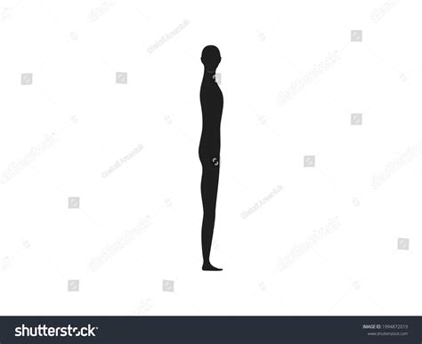 Side View Silhouette Of A Gender Neutral Human Royalty Free Stock Vector 1994872019