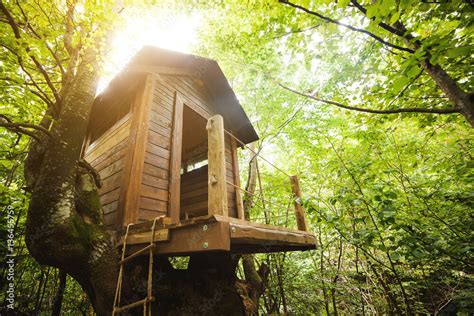 Construire Une Maison Dans Les Arbres Ventana Blog