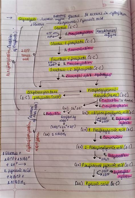 Glycolysis Pathway notes in easy form. | Biology notes, Biochemistry ...