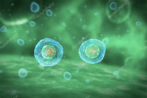 Cell Division Stages of Mitosis — Stock Photo © darnell_vfx #77984408