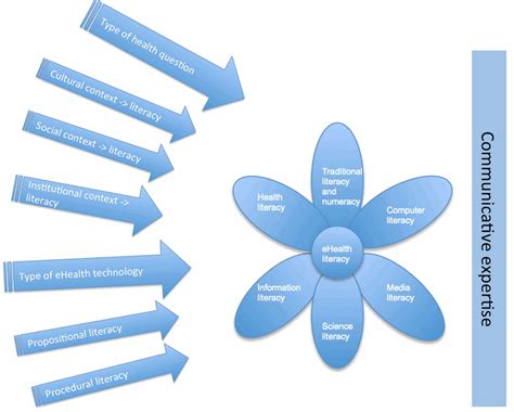 Below Illustrates An Elaboration Of The Lily Model From Norman And