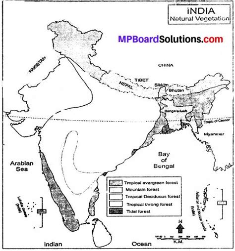 √ Narmada River Rift Valley In India