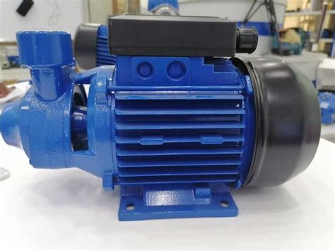 0 5 HP Cast Iron Peripheral Pumping Electric Water Pump China Water