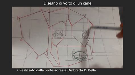 Come Disegnare La Testa Di Un Cane Con Schema Youtube