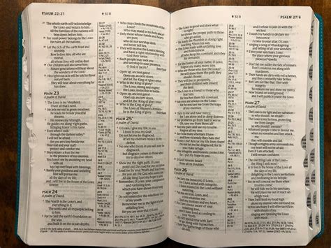 NLT Thinline Center Column Reference Bible Filament Enabled Edition