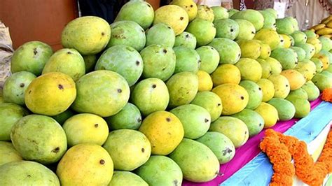 Indian Mangoes In Usa George Clementina