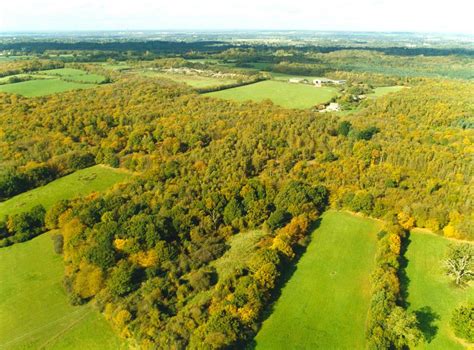 Bencroft Wood Hertfordshire Landscape East