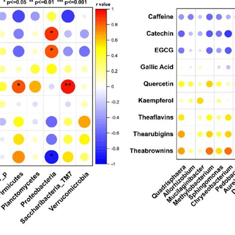 A Spearman Correlation Between Dominant Bacteria At The Phyla Level