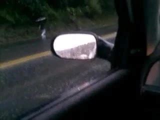 Car Gay Man Man Porn XHamster