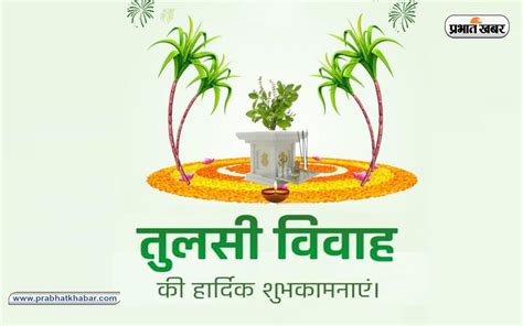 Happy Tulsi Vivah 2022 आधि व्याधि हरा नित्यं तुलसी विवाह के मौके