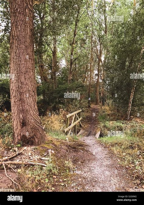 Bridge Over Stream In Cheshire Countryside Uk Stock Photo Alamy