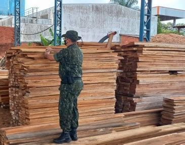 Madeireira Da Zona Norte Multada Em R Mil Por Venda De Madeira