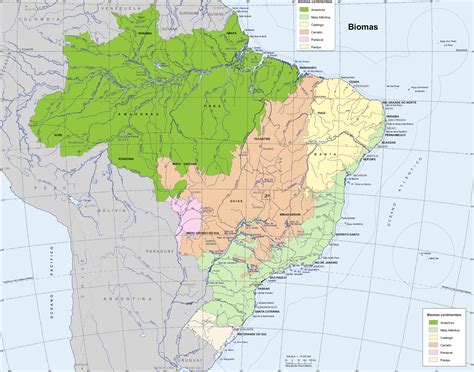 Mapa Do Brasil Os Biomas Image To U