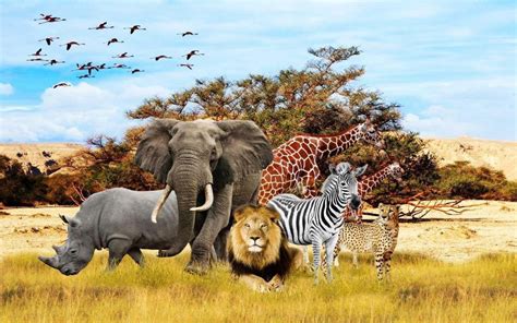 [200+] African Animals Backgrounds | Wallpapers.com