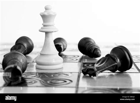 Photographed On A Chess Board Stock Photo Alamy