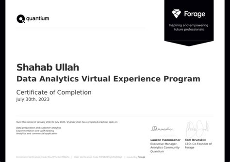 Quantum Internship Experience Pdf