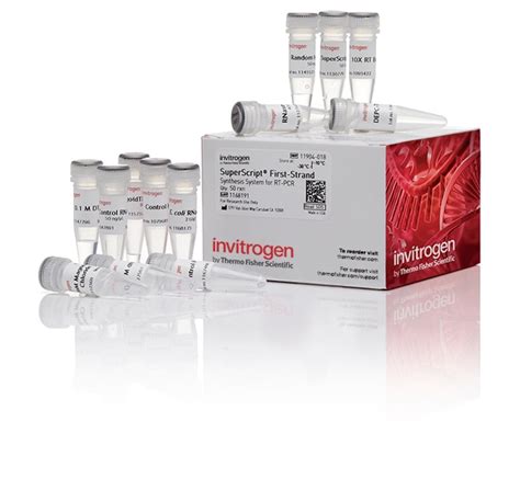 Invitrogen SuperScript First Strand Synthesis System For RT PCR