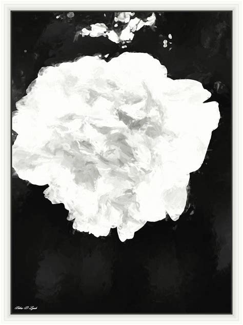 Black And White Peony Painting Mixed Media by Debra Lynch