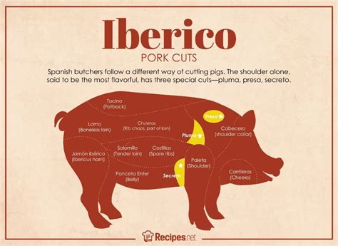 Iberico Pork Why Its So Expensive And All About The Cuts