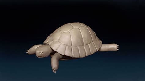 Game Effect 3d Model Character Hermann Tortoise Iron Man Turtle