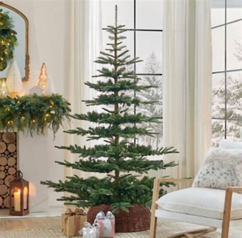 alpine balsam fir christmas tree balsam hill artofit