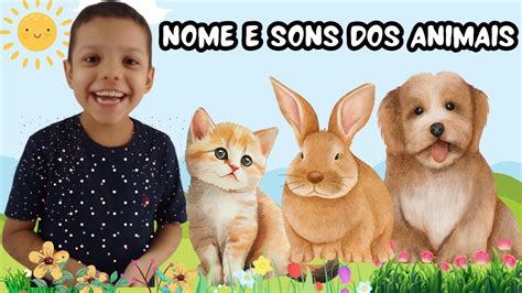 Nomes Dos Animais E Sons Para As Crian As Nico Ensina Os Nomes Dos