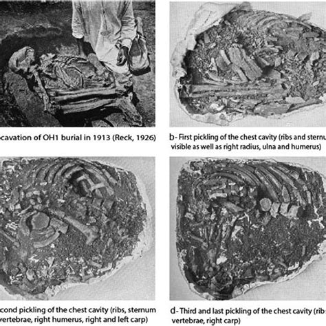 Map of Olduvai Gorge showing the location of the Olduvai Hominid 1... | Download Scientific Diagram