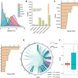 Pdf Chromosome Level Genome And Recombination Map Of The Male Buffalo