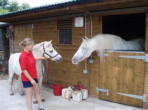 Horse Riding In Cardiff Outdoor Cardiff