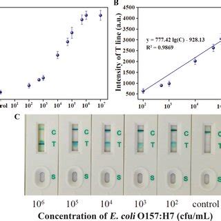 Relationship Between Escherichia Coli O H Concentration And The