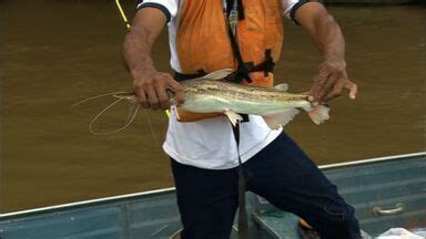 Mttv Edi O Cuiab Mais De Pescadores Participam Do Festival