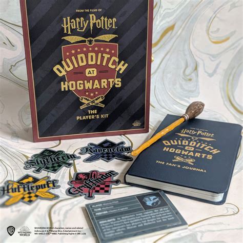 Harry Potter Quidditch at Hogwarts by Donald Lemke | Hachette Book Group