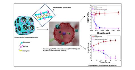 Cubosome Lipid Nanocarriers As A Drug Delivery Vehicle For