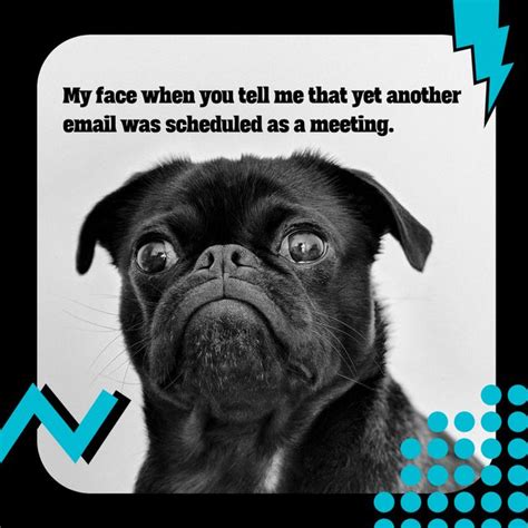 Cute Pug Dog Meeting Meme Social Design Template — Customize it in Kittl