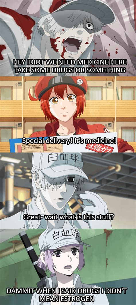 Im Sick Right Now So Have A Cells At Work Meme Rtraaaaaaannnnnnnnnns