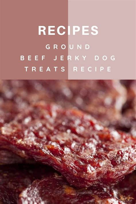 Homemade Dog Food Ground Beef Recipes Dog Food Recipes Easy Dog