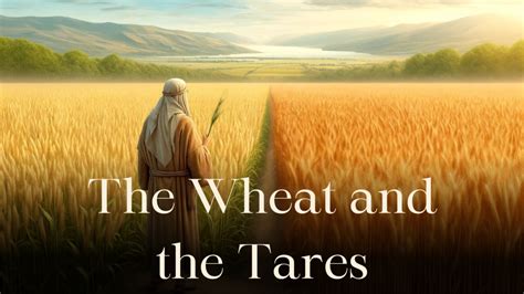 The Wheat and the Tares: Allegory Explained - Allegory Explained