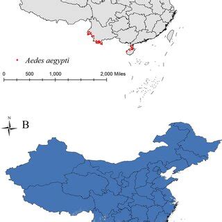 Monthly dynamic distribution range of Aedes aegypti | Download ...